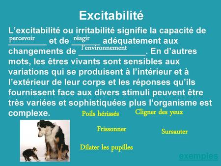 Excitabilité percevoir réagir l’environnement Cligner des yeux