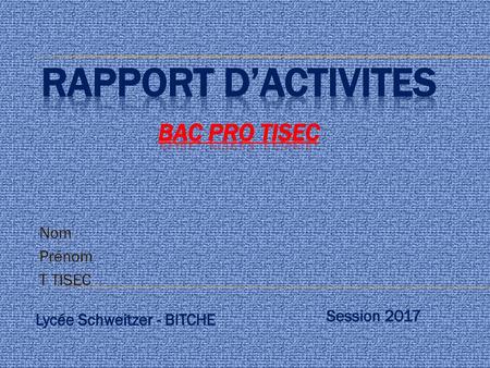 RAPPORT D’ACTIVITES BAC Pro TISEC