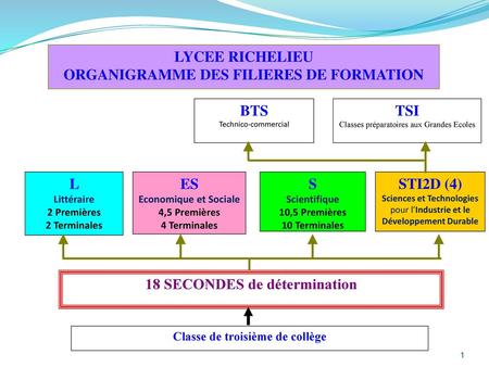 ORGANIGRAMME DES FILIERES DE FORMATION Classe de troisième de collège