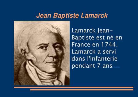 Jean Baptiste Lamarck Lamarck Jean- Baptiste est né en France en 1744. Lamarck a servi dans l'infanterie pendant 7 ans. buscar.
