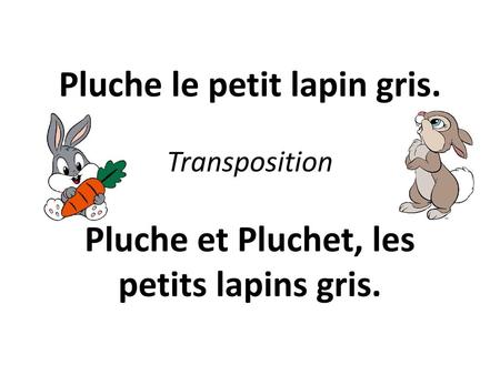 Pluche le petit lapin gris