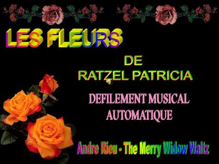 Andre Rieu - The Merry Widow Waltz
