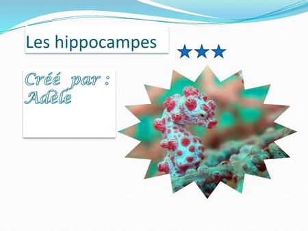 Les hippocampes Créé par : Adèle.