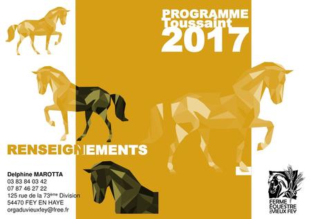 2017 Toussaint RENSEIGN RENSEIGNEMENTS PROGRAMME Delphine MAROTTA