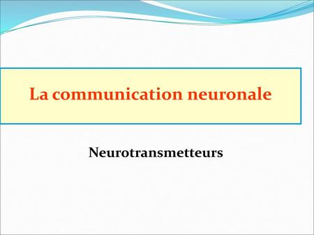 La communication neuronale
