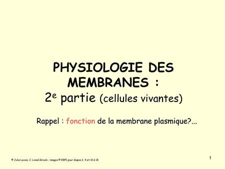 PHYSIOLOGIE DES MEMBRANES : 2e partie (cellules vivantes)