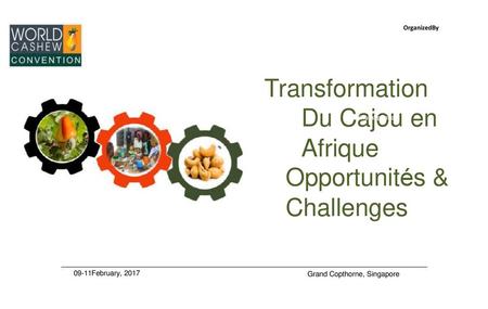 Transformation Du Cajou en Afrique Opportunités & Challenges 09-11