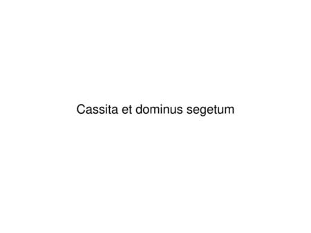 Cassita et dominus segetum