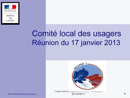Comité local des usagers Réunion du 17 janvier 2013