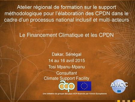 Le Financement Climatique et les CPDN