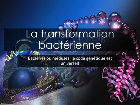 La transformation bactérienne