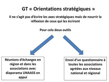 GT « Orientations stratégiques »