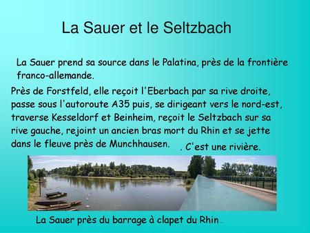 La Sauer et le Seltzbach