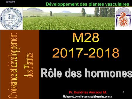 Rôle des hormones Développement des plantes vasculaires M