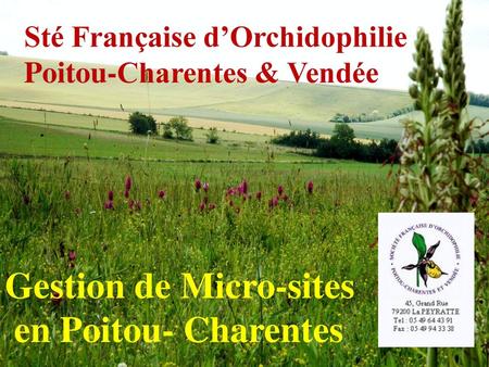 Gestion de Micro-sites en Poitou- Charentes