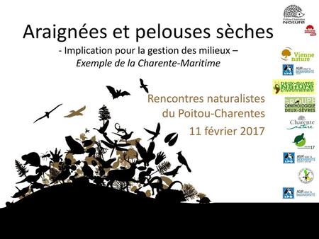 Araignées et pelouses sèches - Implication pour la gestion des milieux – Exemple de la Charente-Maritime Rencontres naturalistes du Poitou-Charentes 11.