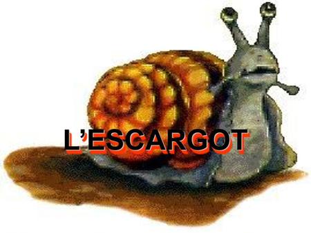 L’ESCARGOT.