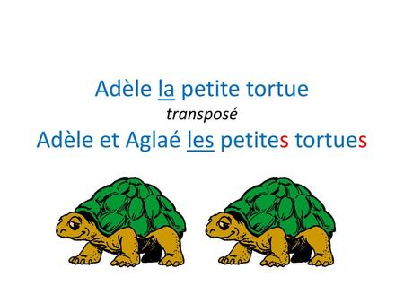 Adèle la petite tortue transposé Adèle et Aglaé les petites tortues