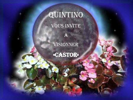 QUINTINO VOUS INVITE A VISIONNER «castor».