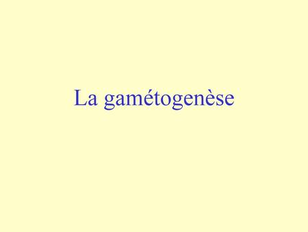 La gamétogenèse.