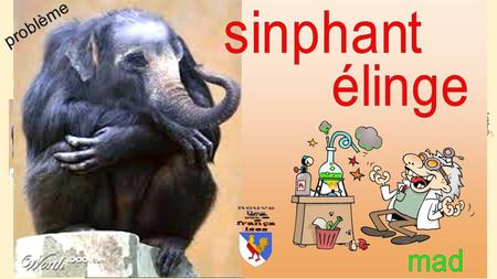 ²Q2 11x11 éléphant + singe = élinge = sinphant   pb