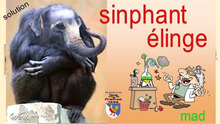 ²Q2 11x11 éléphant + singe = élinge = sinphant solution