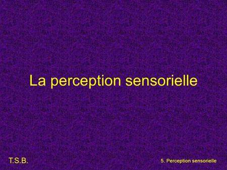 La perception sensorielle