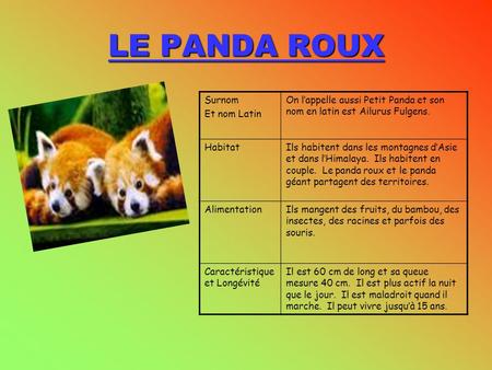 Un Animal Menace Par Leila Jebali Le Panda Geant Ppt Video Online Telecharger