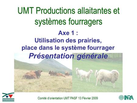Comité d’orientation UMT PASF 13 Février 2009 UMT Productions allaitantes et systèmes fourragers Axe 1 : Utilisation des prairies, place dans le système.