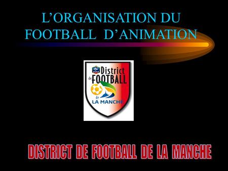 L’ORGANISATION DU FOOTBALL D’ANIMATION