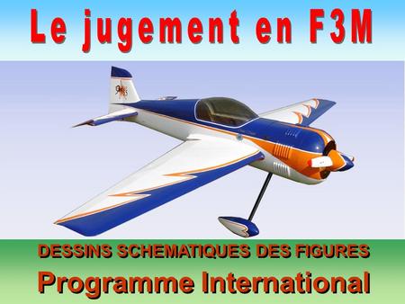 DESSINS SCHEMATIQUES DES FIGURES Programme International