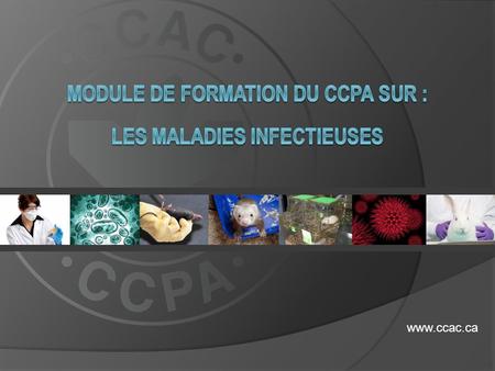 MODULE DE FORMATION DU CCPA sur : LES MALADIES INFECTIEUSES