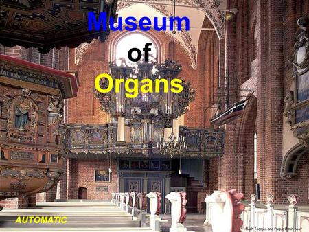 Museum of Organs AUTOMATIC Lavaur: CathédraleLavaur: Cathédrale (