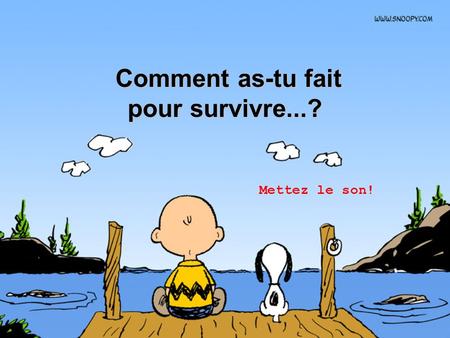 Comment as-tu fait Comment as-tu fait pour survivre...? Mettez le son!