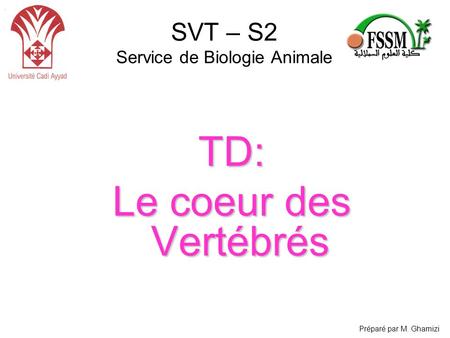 SVT – S2 Service de Biologie Animale