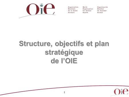 Structure, objectifs et plan stratégique