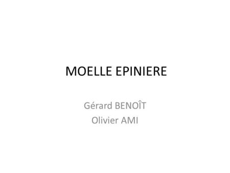 Gérard BENOÎT Olivier AMI