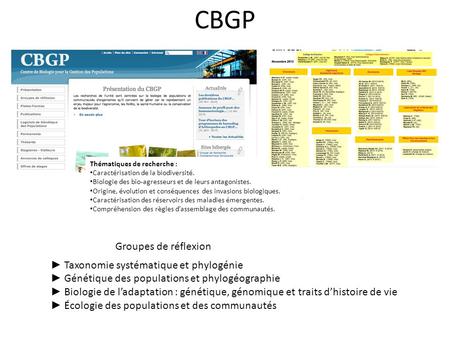 CBGP Groupes de réflexion ► Taxonomie systématique et phylogénie