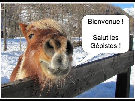 Bienvenue ! Salut les Gépistes !. L’image … Qu’est-ce que l’image ? Bien des définitions en sont données ; Elle est présente à tous les instants de notre.