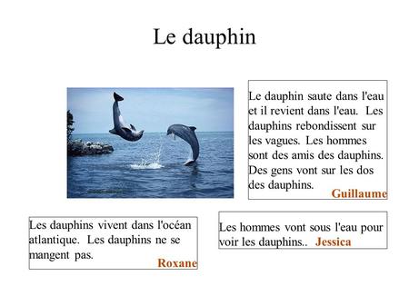 Le dauphin Le dauphin saute dans l'eau et il revient dans l'eau. Les dauphins rebondissent sur les vagues. Les hommes sont des amis des dauphins. Des.
