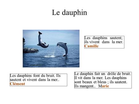 Le dauphin Les dauphins sautent; ils vivent dans la mer. Camille