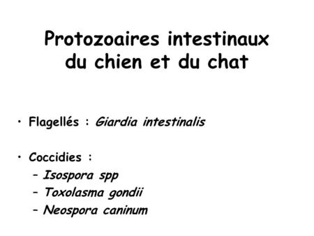 Protozoaires intestinaux du chien et du chat