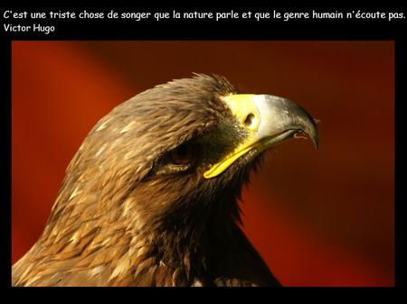C'est une triste chose de songer que la nature parle et que le genre humain n'écoute pas. Victor Hugo.