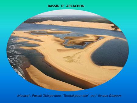BASSIN D’ ARCACHON Musical : Pascal Obispo dans ‘Tombé pour elle’ ou l’ Ile aux Oiseaux.