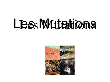 Les Mutations Les Mutations.