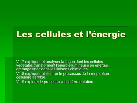 Les cellules et l’énergie