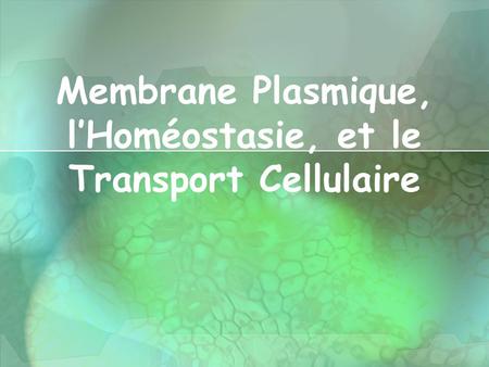 Membrane Plasmique, l’Homéostasie, et le Transport Cellulaire