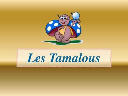 Les Tamalous.