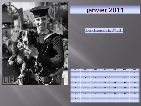 janvier 2011 Les chiens de la WWII lun. mar. mer. jeu. ven. sam. dim.