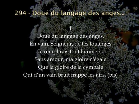 294 - Doué du langage des anges...